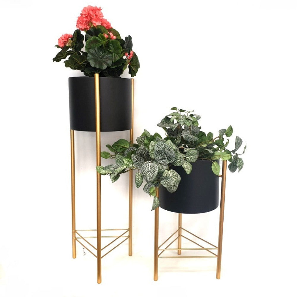 Sleek Black Plant Stands - Set of 2