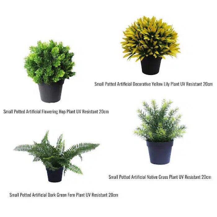 Small UV Treated Potted Plants Bundle 20cms - Set of 4