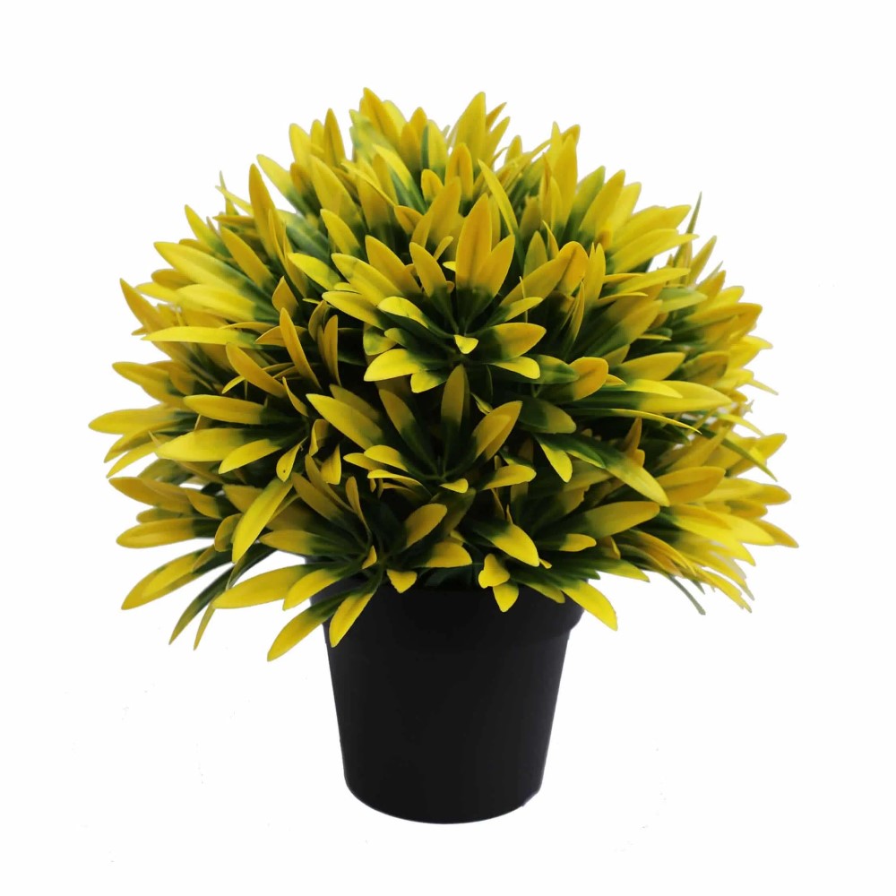 Small UV Treated Potted Plants Bundle 20cms - Set of 4