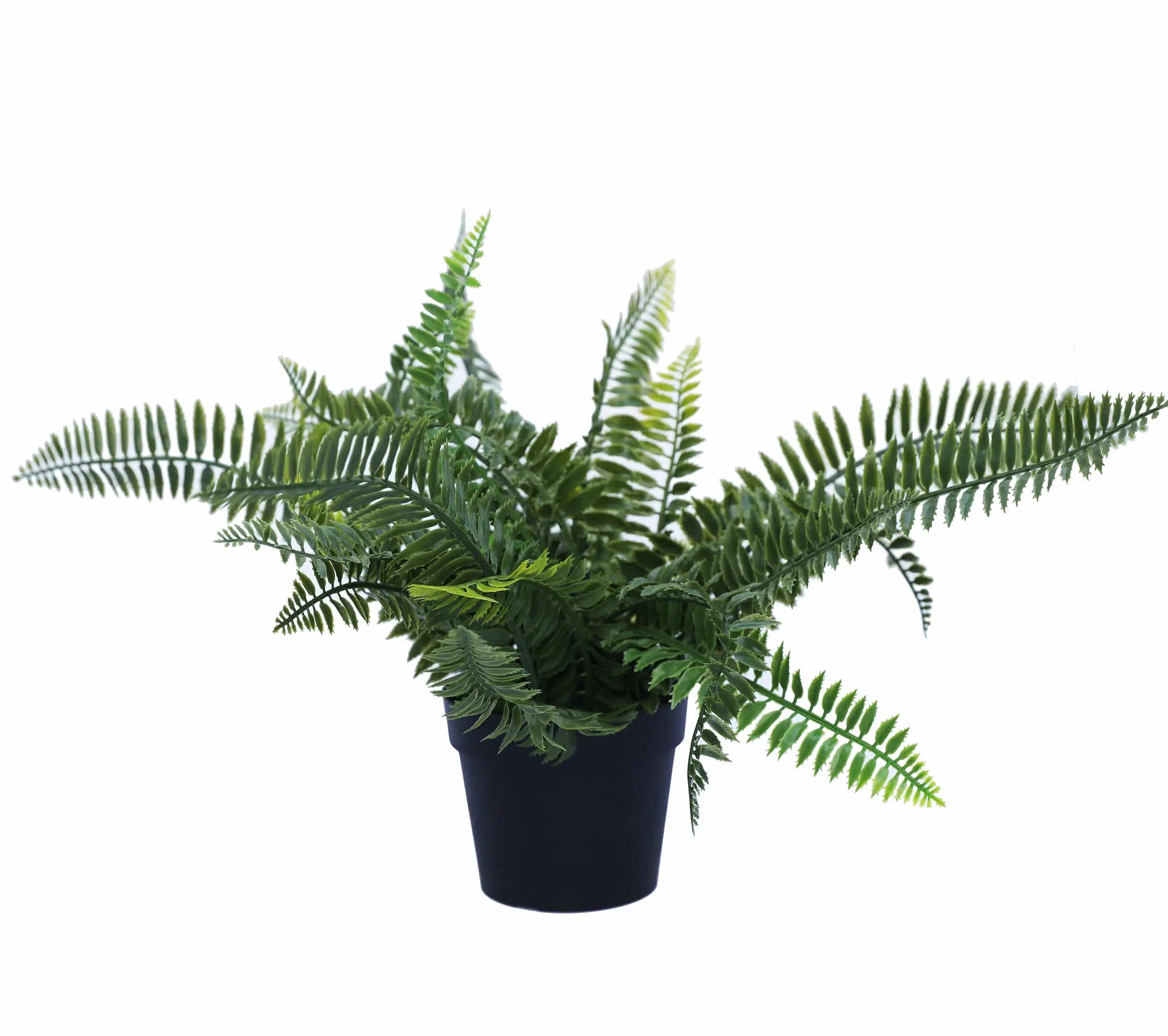 Small UV Treated Potted Plants Bundle 20cms - Set of 4