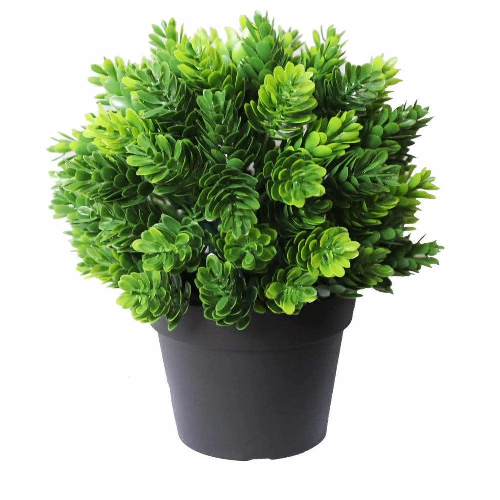 Small UV Treated Potted Plants Bundle 20cms - Set of 4