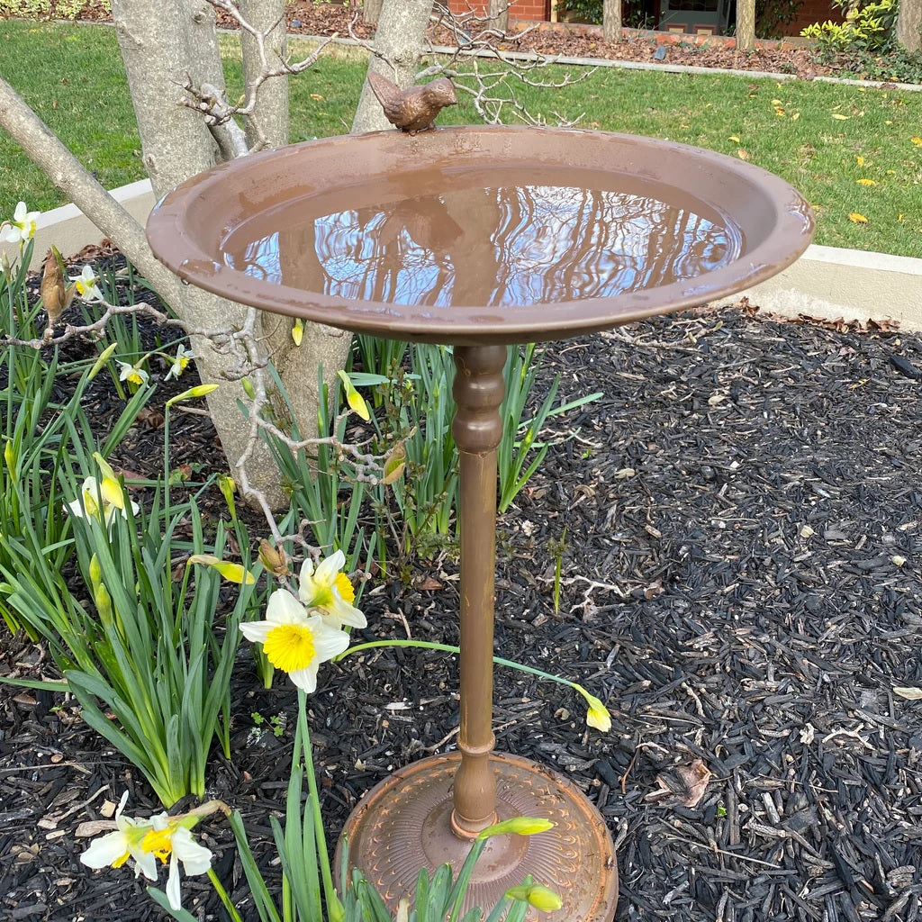 Sparrow Rustic Brown Bird Feeder Bird Bath