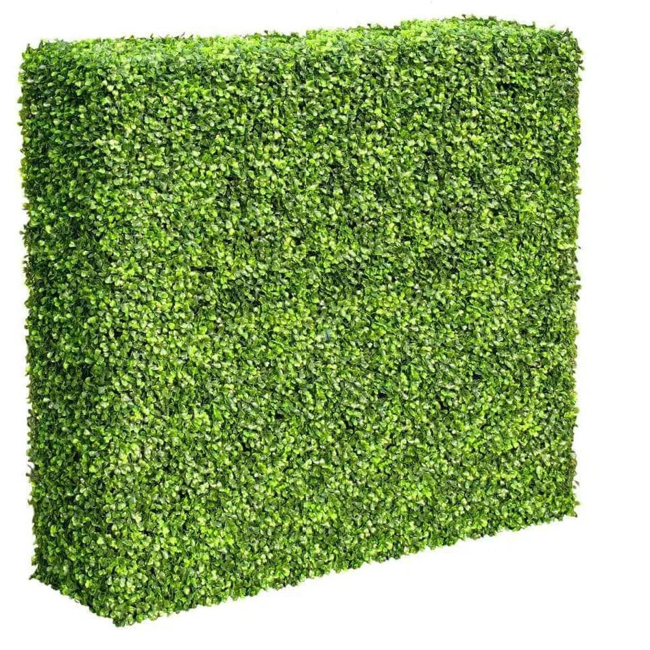 Spring UV Resistant Mixed Boxwood Hedge 100 X 100cms