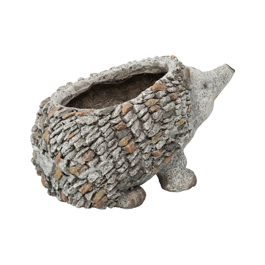 Stony Echidna Planter Hole & Plug - 40cms