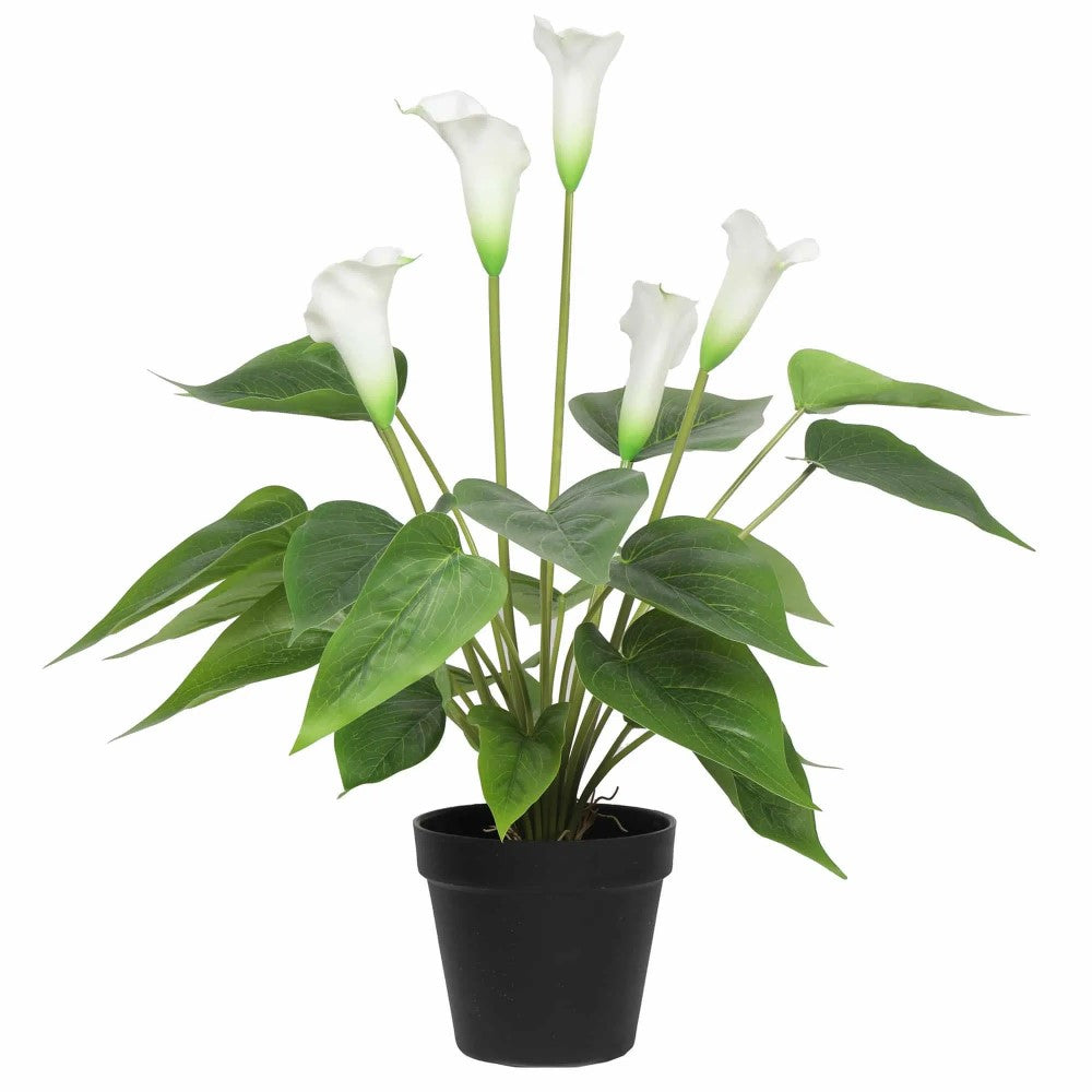 Stunning Lifelike Lilies Bundle 50cms - Set of 3