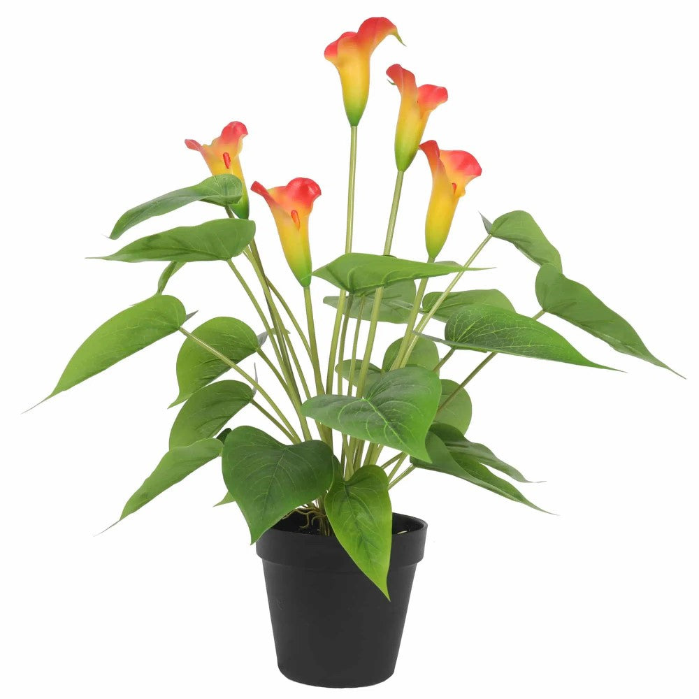 Stunning Lifelike Lilies Bundle 50cms - Set of 3