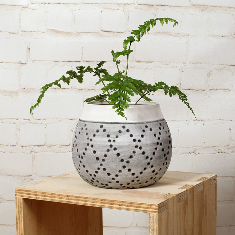 Stylish Decorative Natural Spot Pot - Extra Large