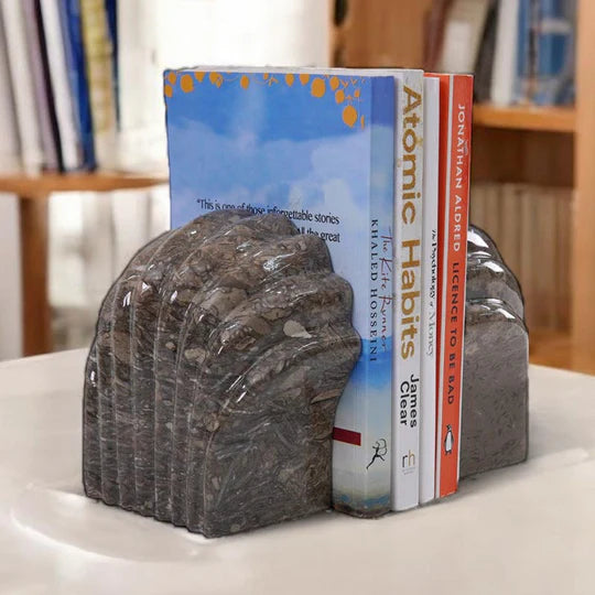 Stylish Shelve Decorative Shell Bookend - Grey