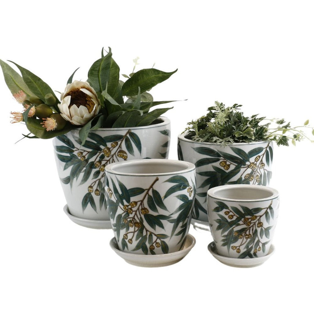 Timeless Hand-Painted Gum Nuts Planters - Set of 4