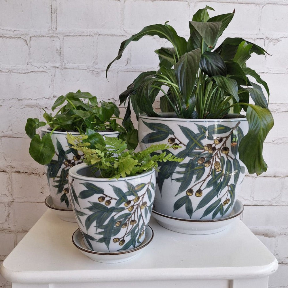 Timeless Hand-Painted Gum Nuts Planters - Set of 4