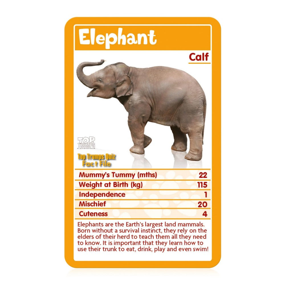 Top Trumps Card Game: Cutest Baby Animals