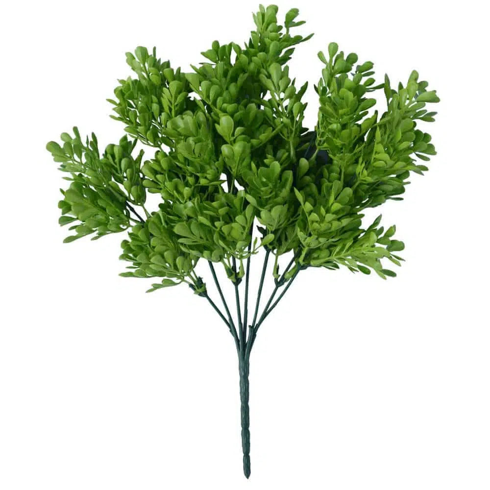 Vivid Green Wide Eucalyptus Plant 32cms