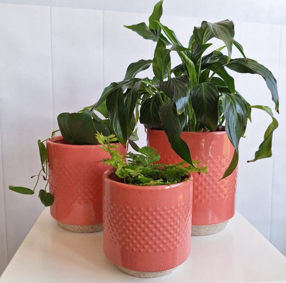 Whimsical Cobalt Spot Pot Set of 3 - Coral Red