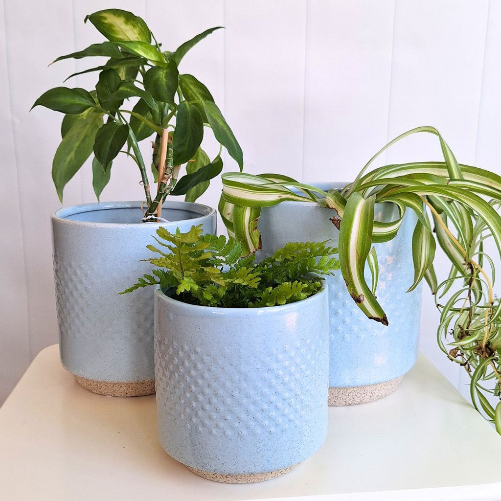 Whimsical Cobalt Spot Pot Set of 3 - Sky Blue