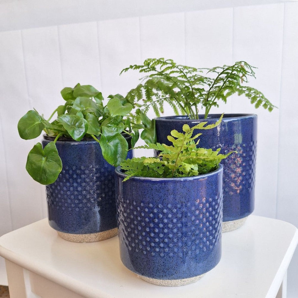 Whimsical Cobalt Spot Pot Set of 3 - Dark Blue