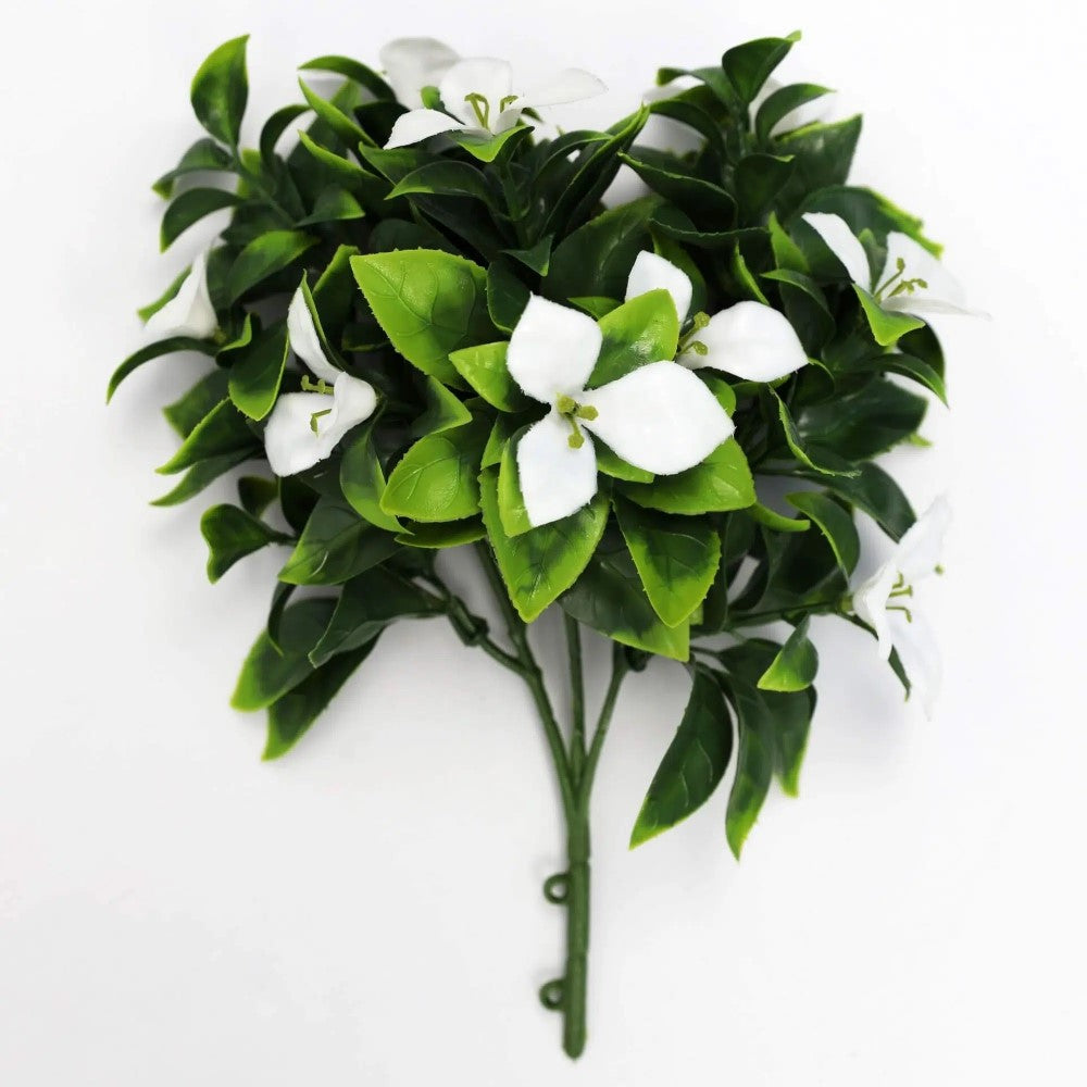 White Flowering Jasmine Stem 30cms