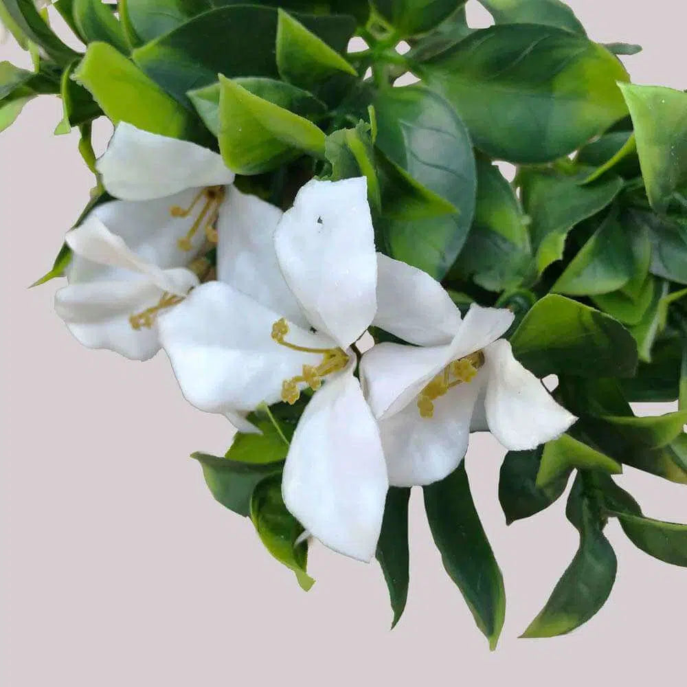 White Flowering Jasmine Stem 30cms