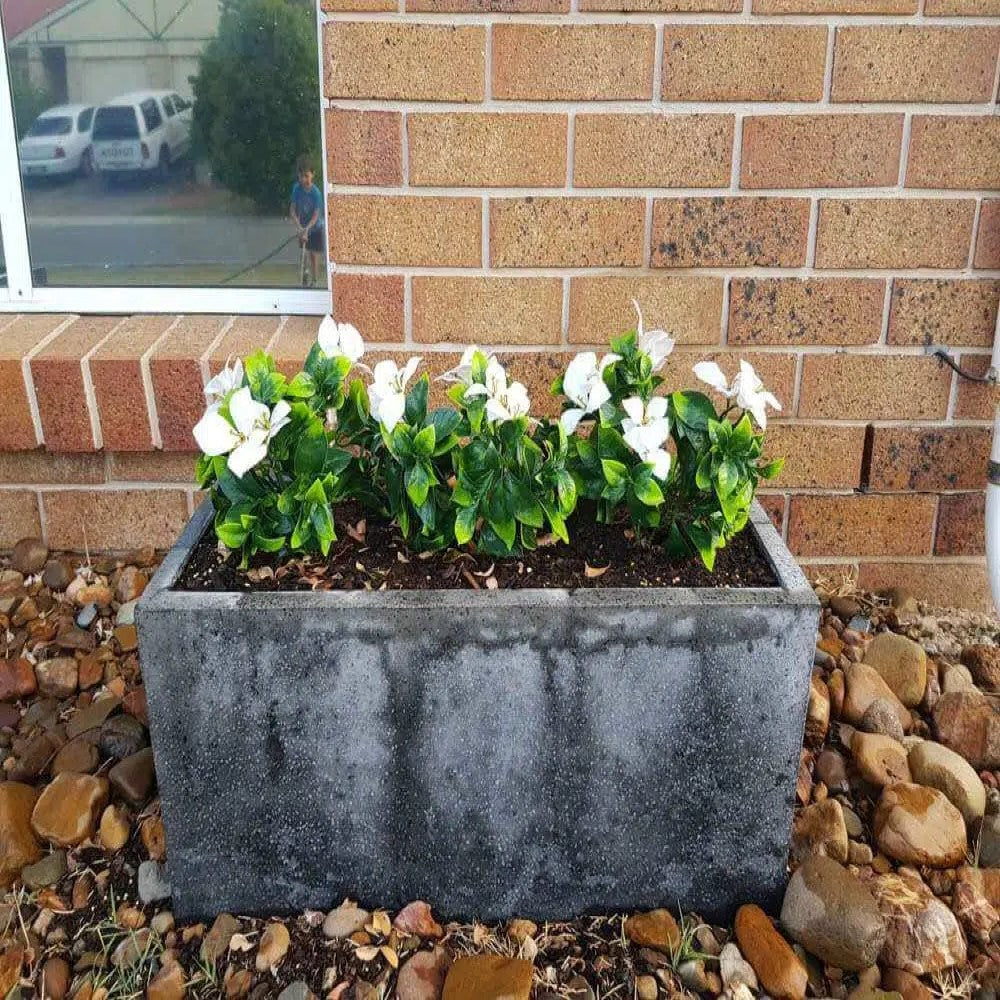 White Flowering Jasmine Stem 30cms