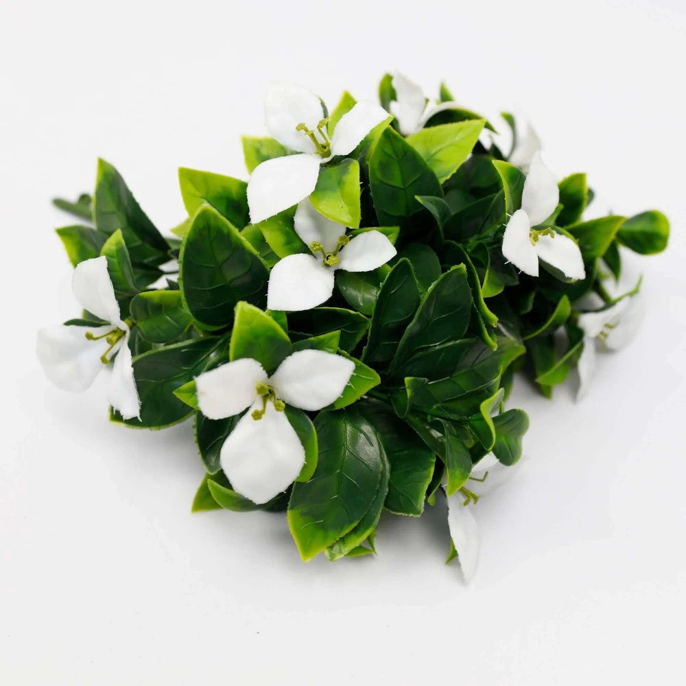 White Flowering Jasmine Stem 30cms