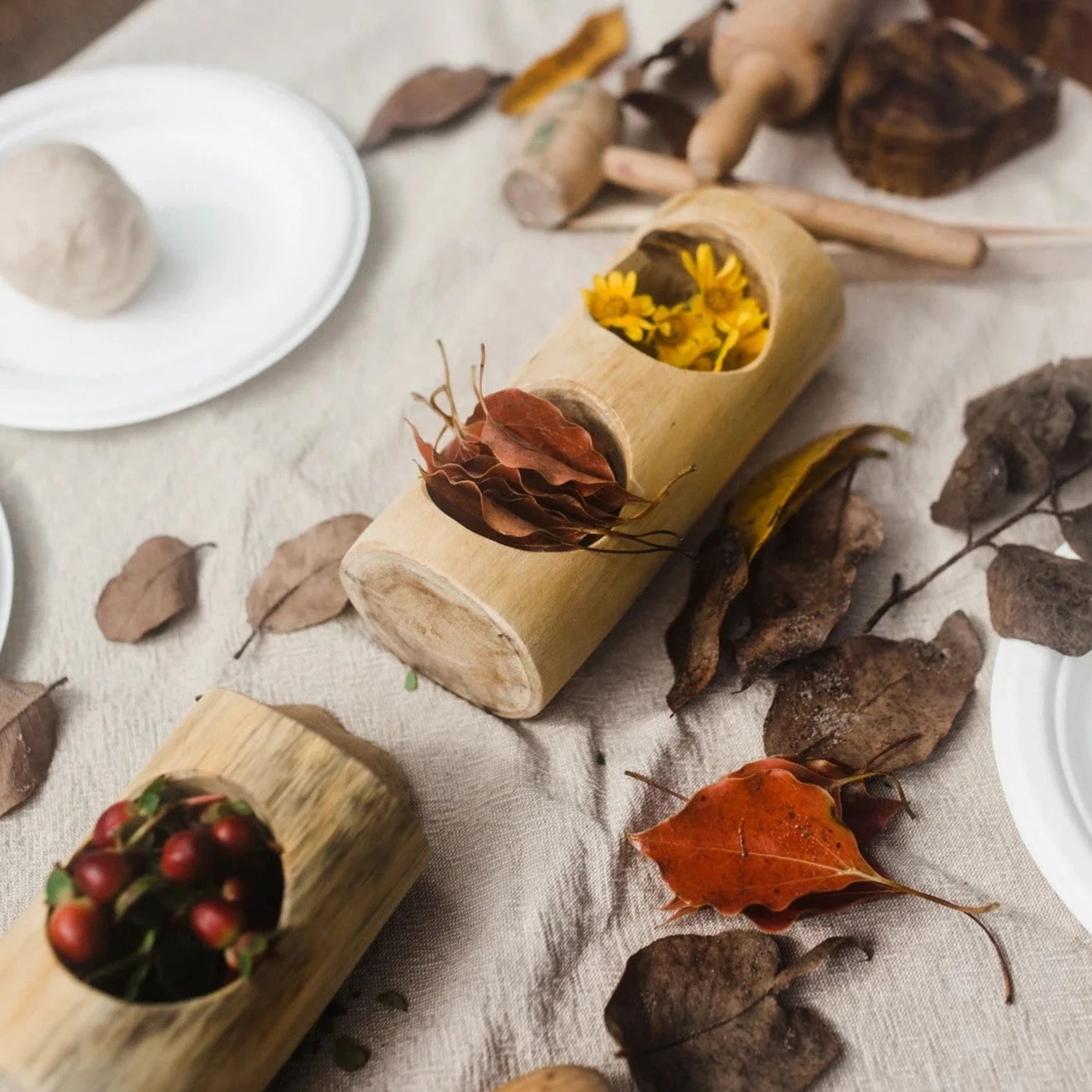 Wooden Log Counting and Sorting Trays