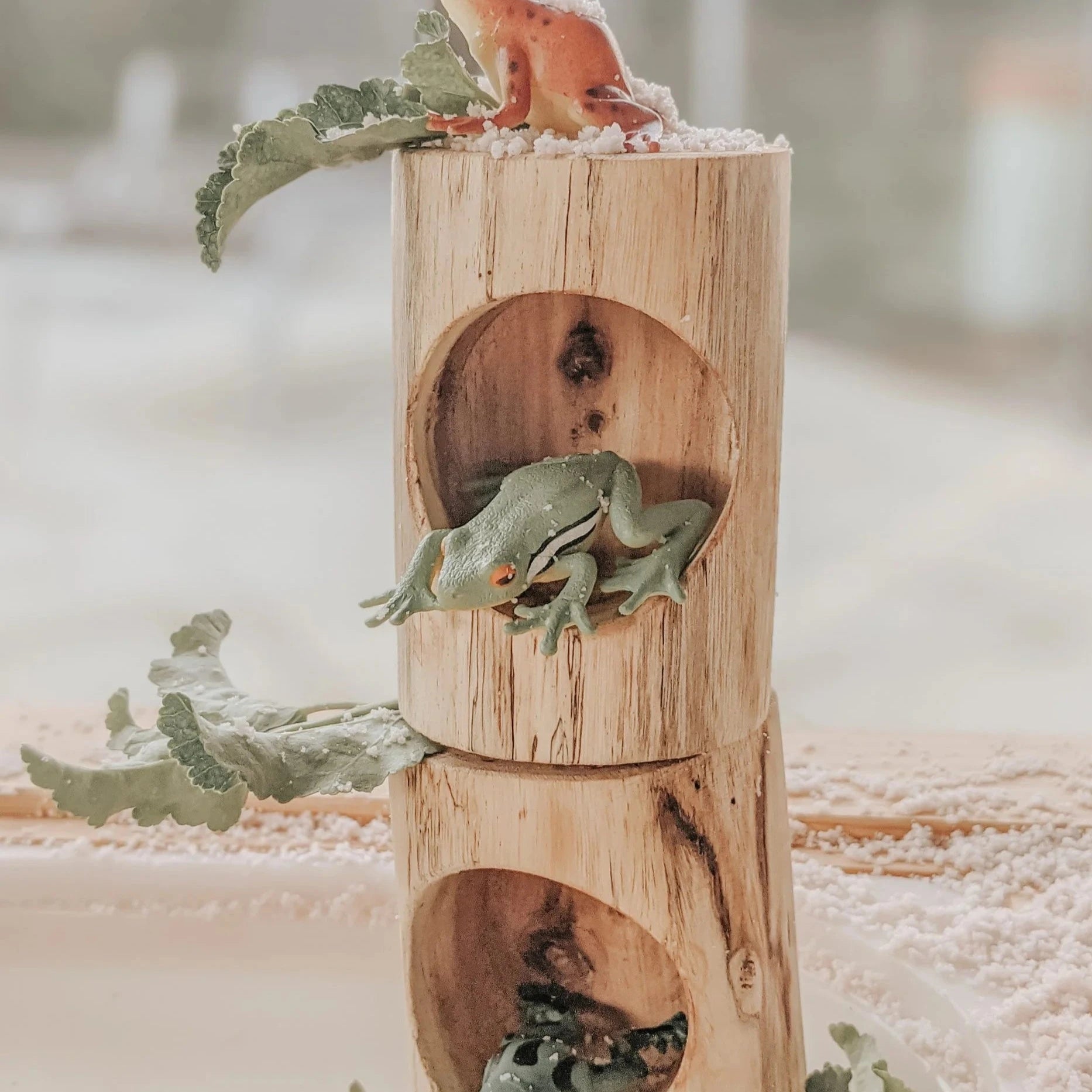 Wooden Log Counting and Sorting Trays