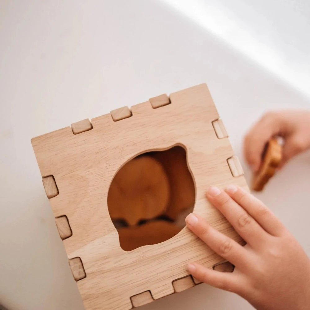 Wooden Playful Fruit Puzzle Box