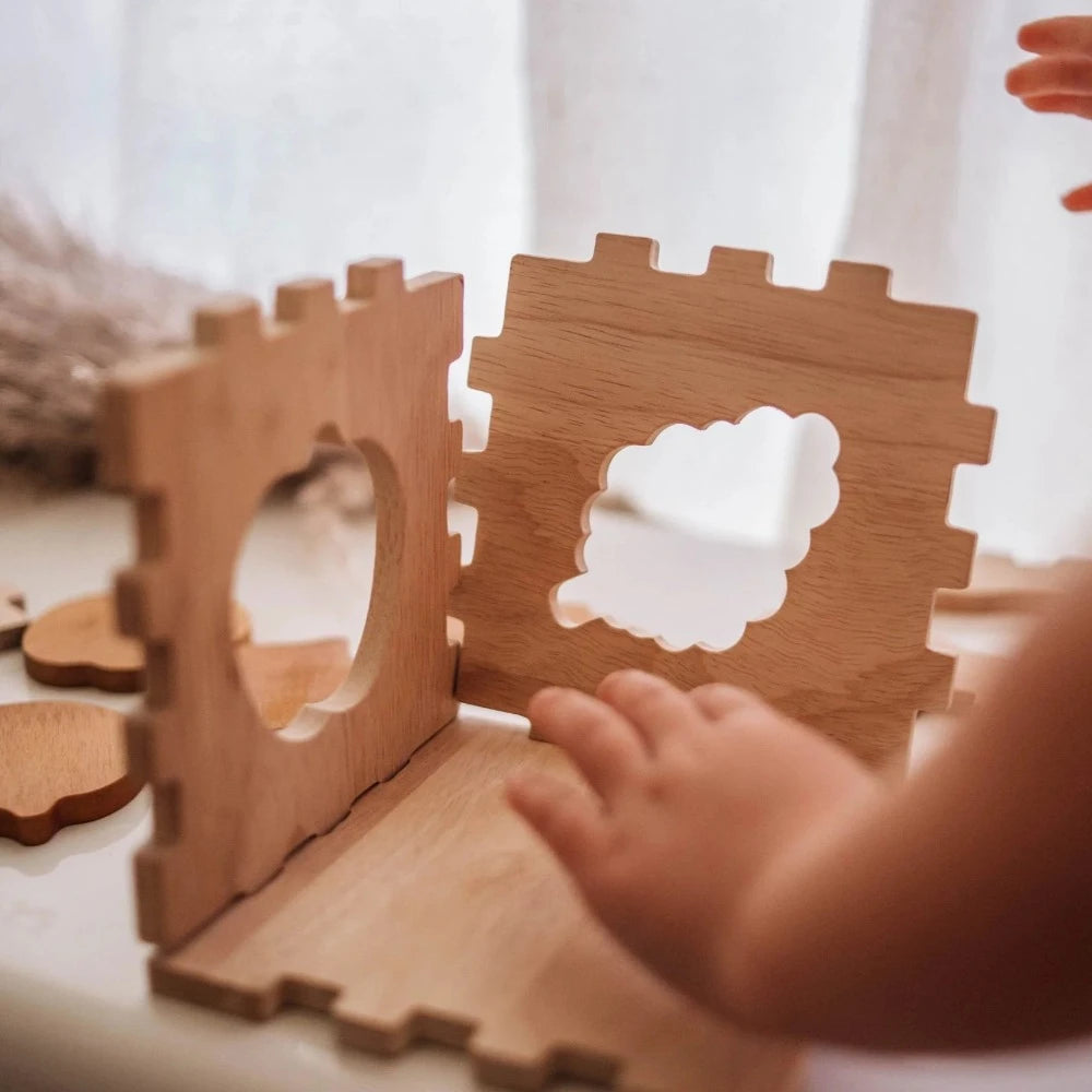 Wooden Playful Fruit Puzzle Box