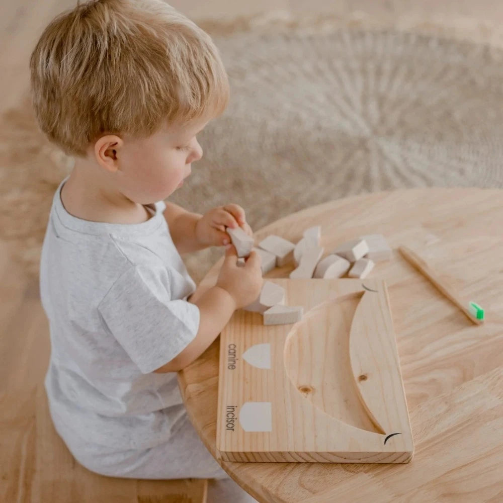 Wooden Teeth Puzzle with Wooden Toothbrush