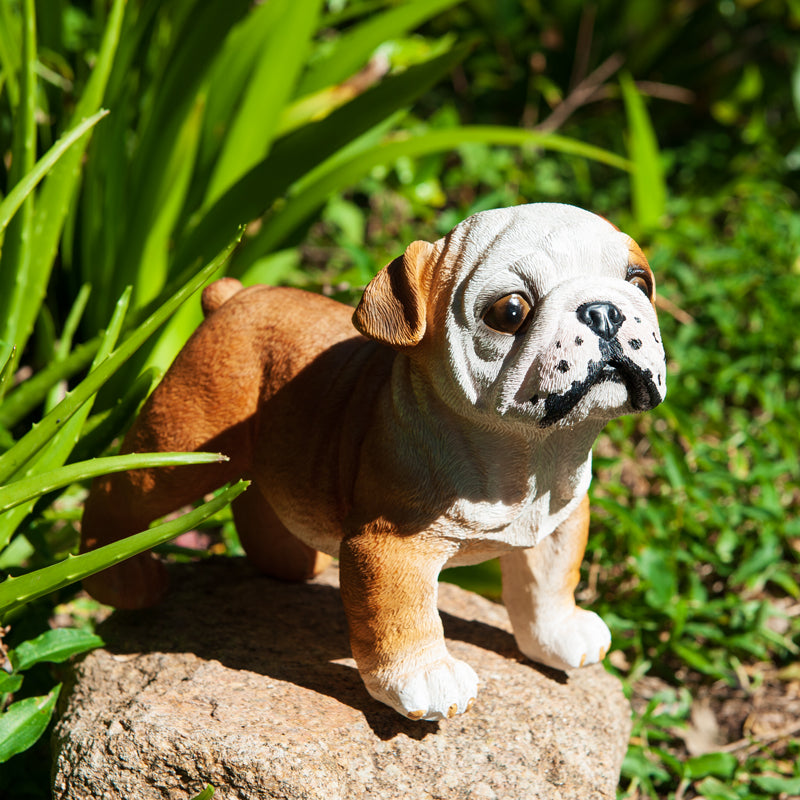 Bulldog Garden Statue