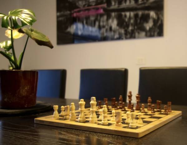 Chess & Checkers Board Set