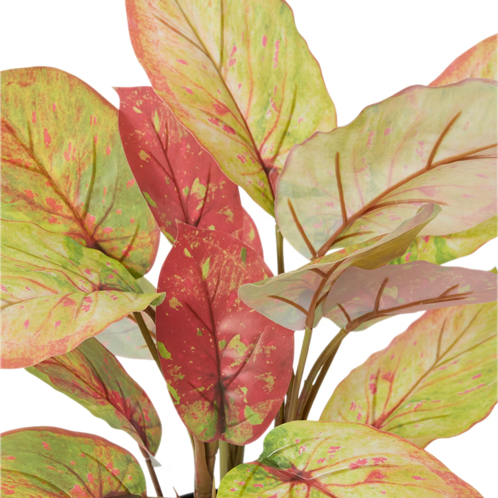 Artificial Potted Aglaonema Plant - 46cms