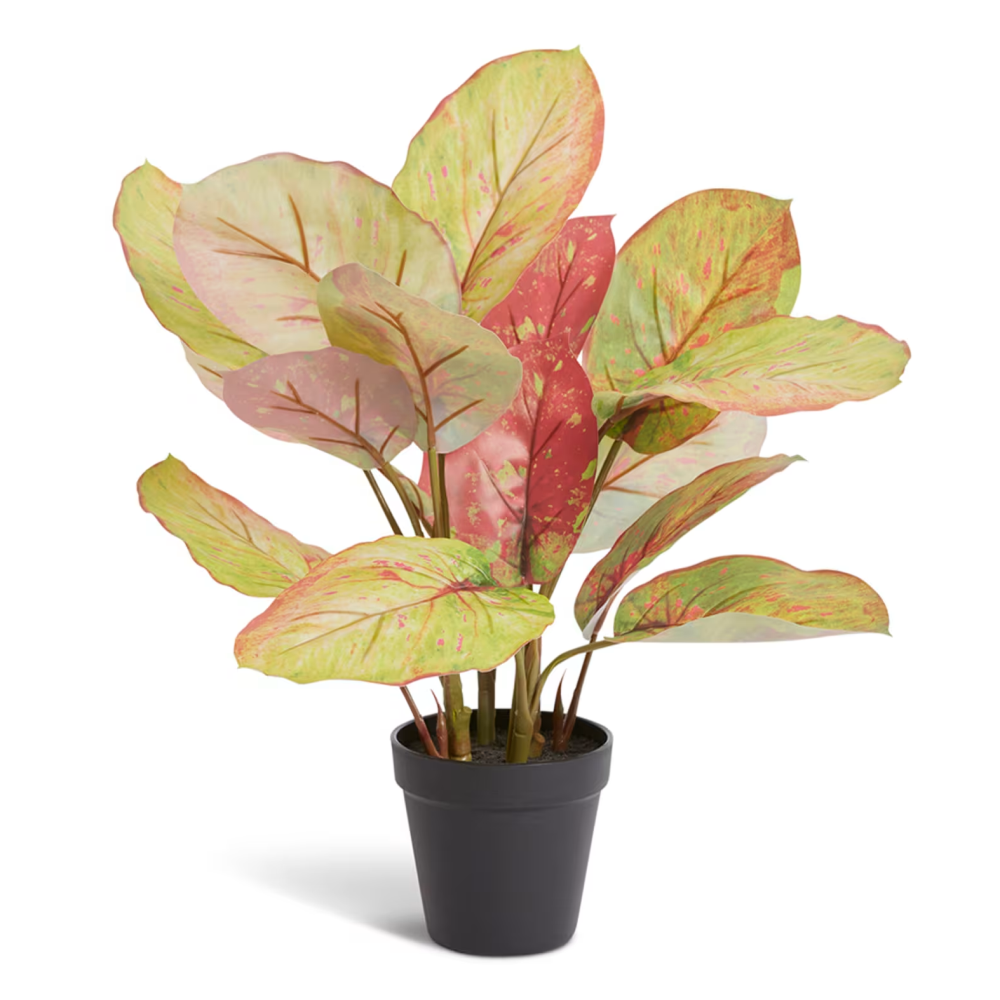 Artificial Potted Aglaonema Plant - 46cms