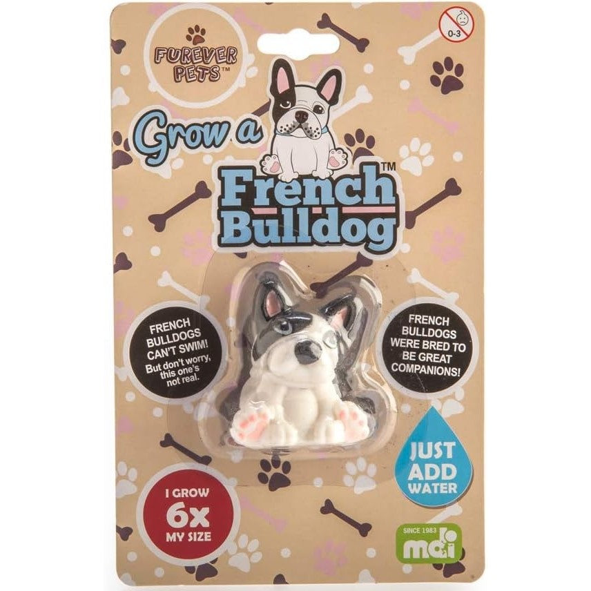 Grow Your Own French Bulldog