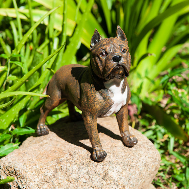 Pitbull Outdoor Statue