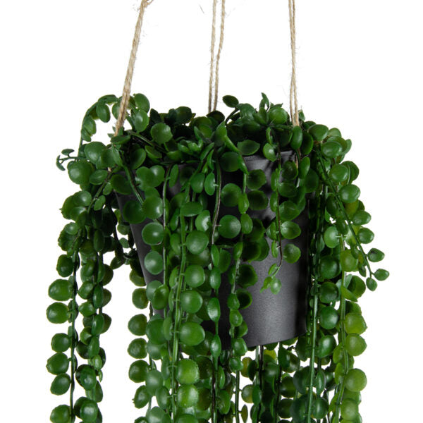 Potted Hanging Artificial Coin Leaf Peperomia