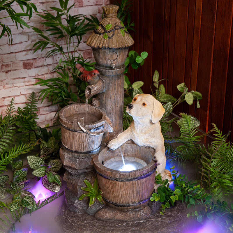 Puppy Bird Nest Water Fountain