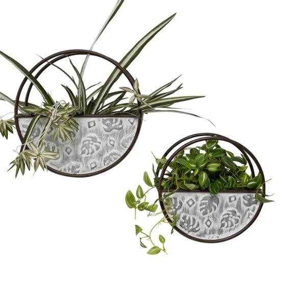 Nested Floating Monstera Wall Planters Set of 2