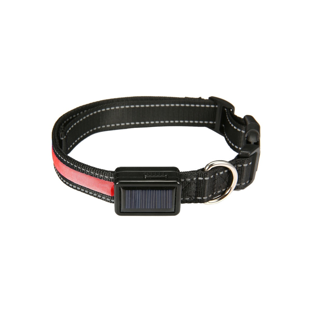 Solar USB Rechargable LED Dog Collar (M Red)