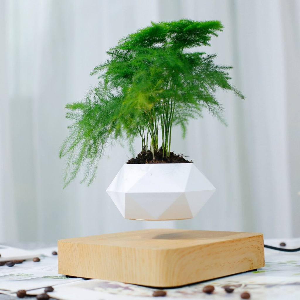 Magnetic Levitating Plant Pot