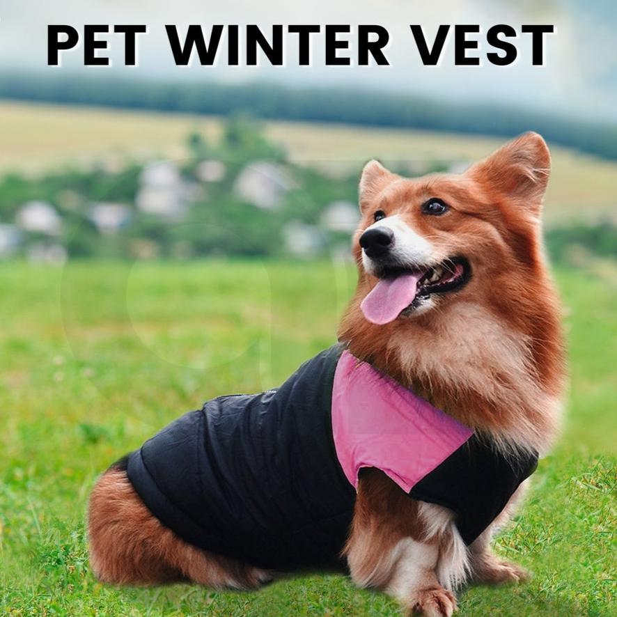 Pet Winter Vest (2XL Purple)