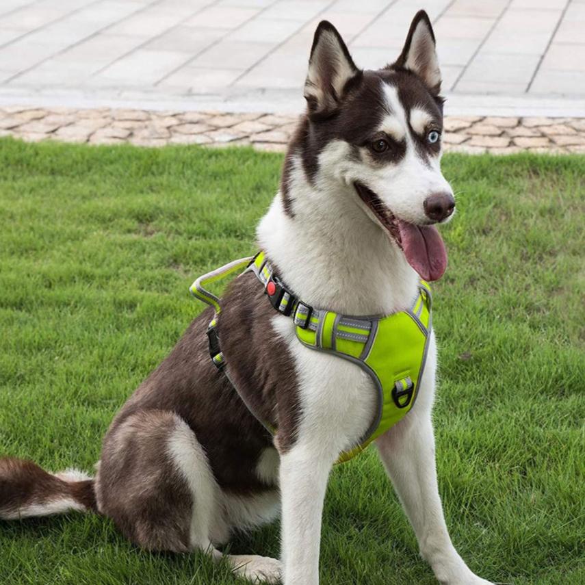 Adjustable Dog Harness Vest XXL Size (Green)