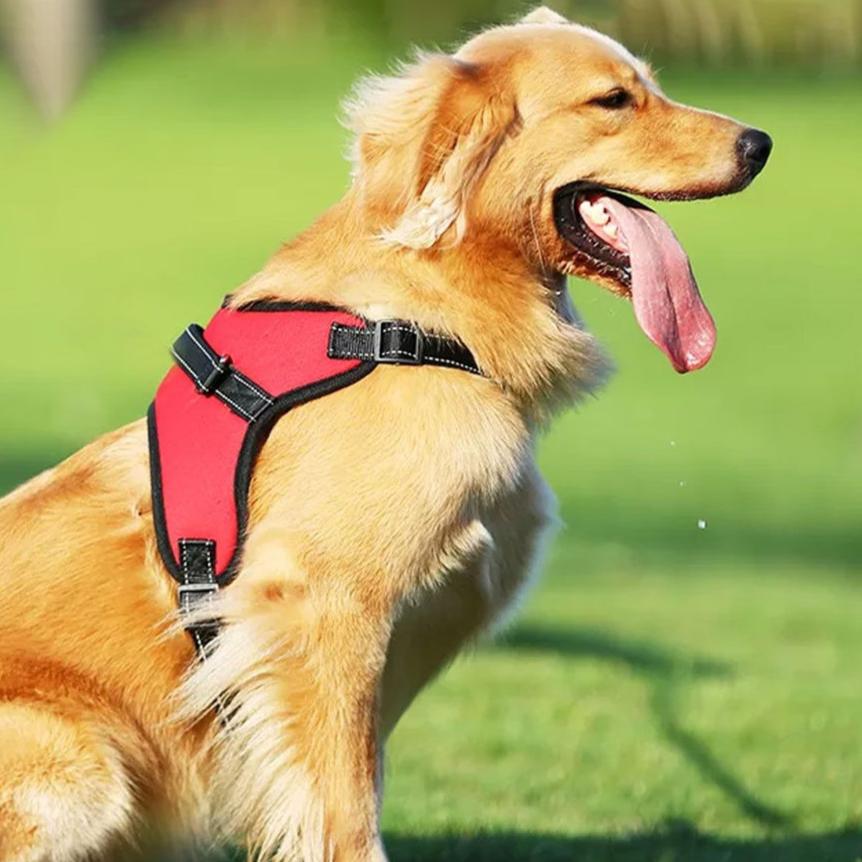 Adjustable Dog Harness L Size (Red)