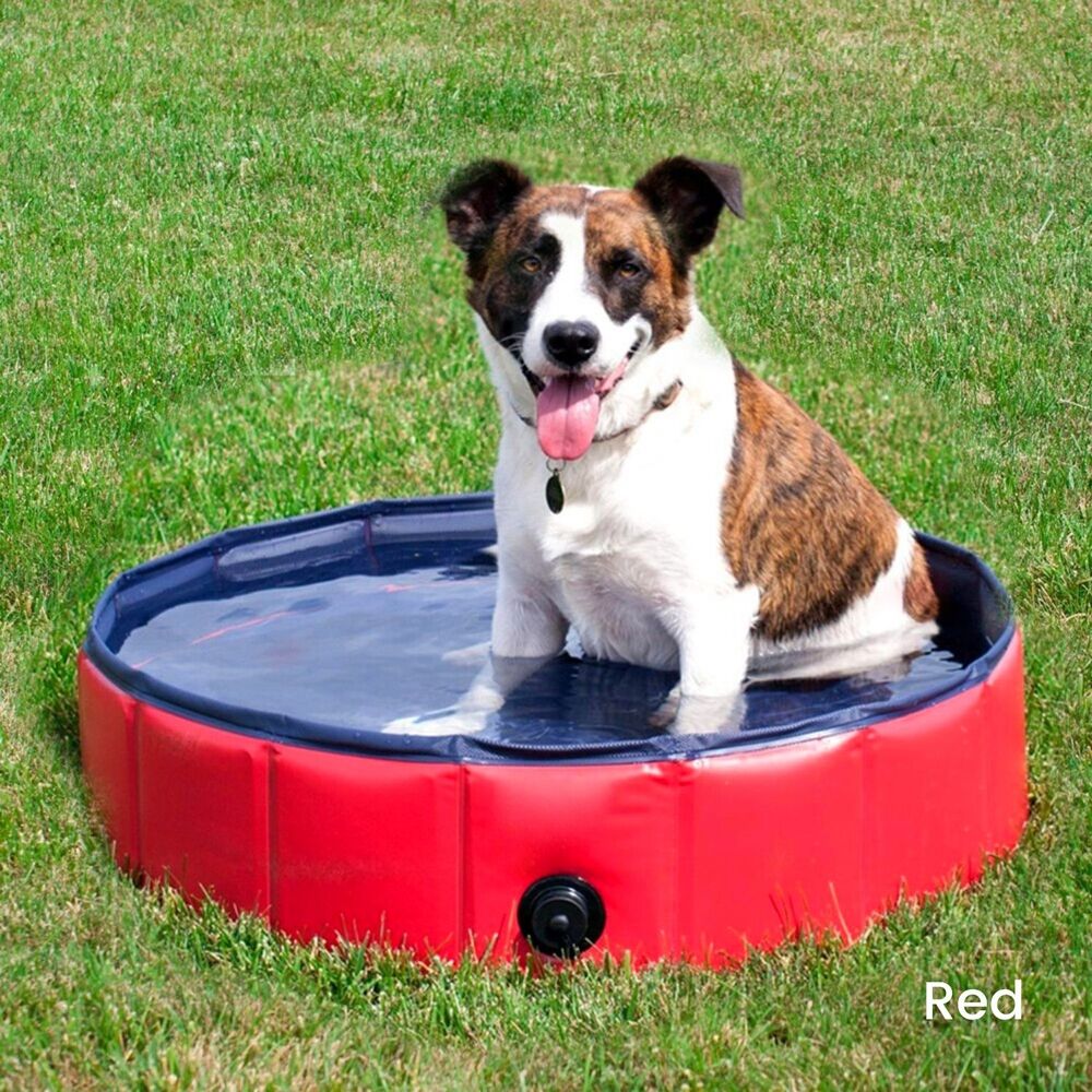 Portable Pet Pool 120cm x 30cm - Red