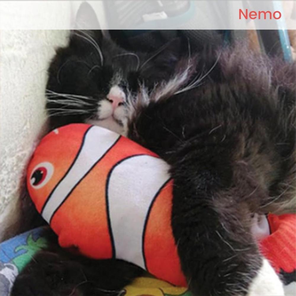 Rechargeable USB Electric Fish Toy (Nemo)