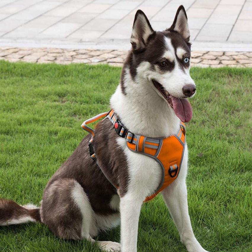 Adjustable Dog Harness Vest XL Size (Orange)