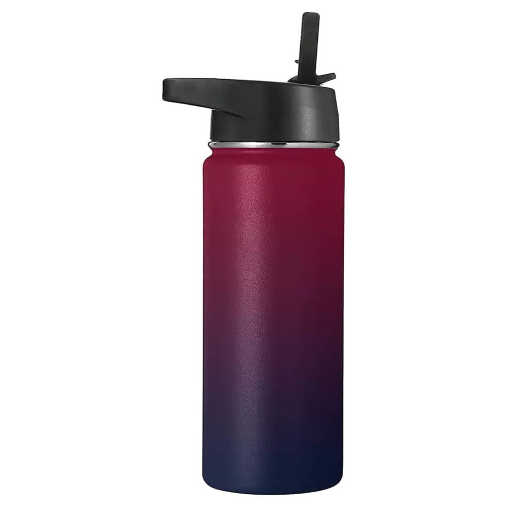 Vacuum Insulated Water Bottle 3 Lids 40OZ (Red Purple)