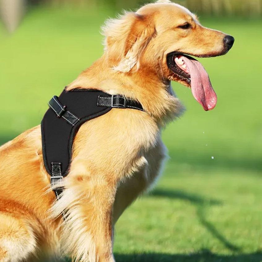 Adjustable Dog Harness S Size (Black)