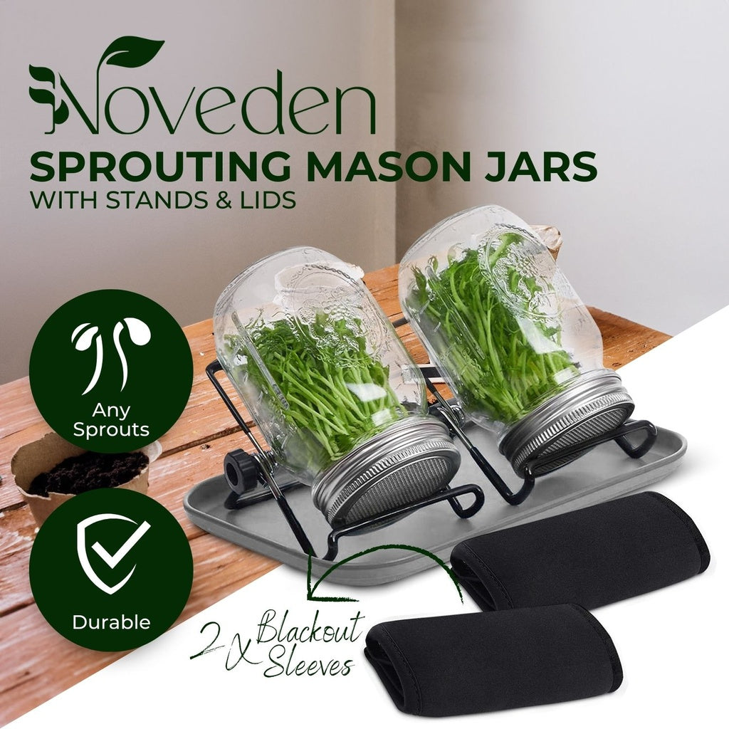 Mason Jar Sprouting Kit with Stainless Steel Lids - Pack of 2