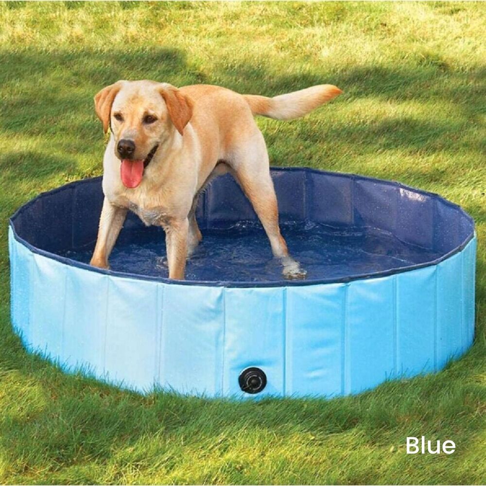 Portable Pet Pool 160cm x 30cm Blue