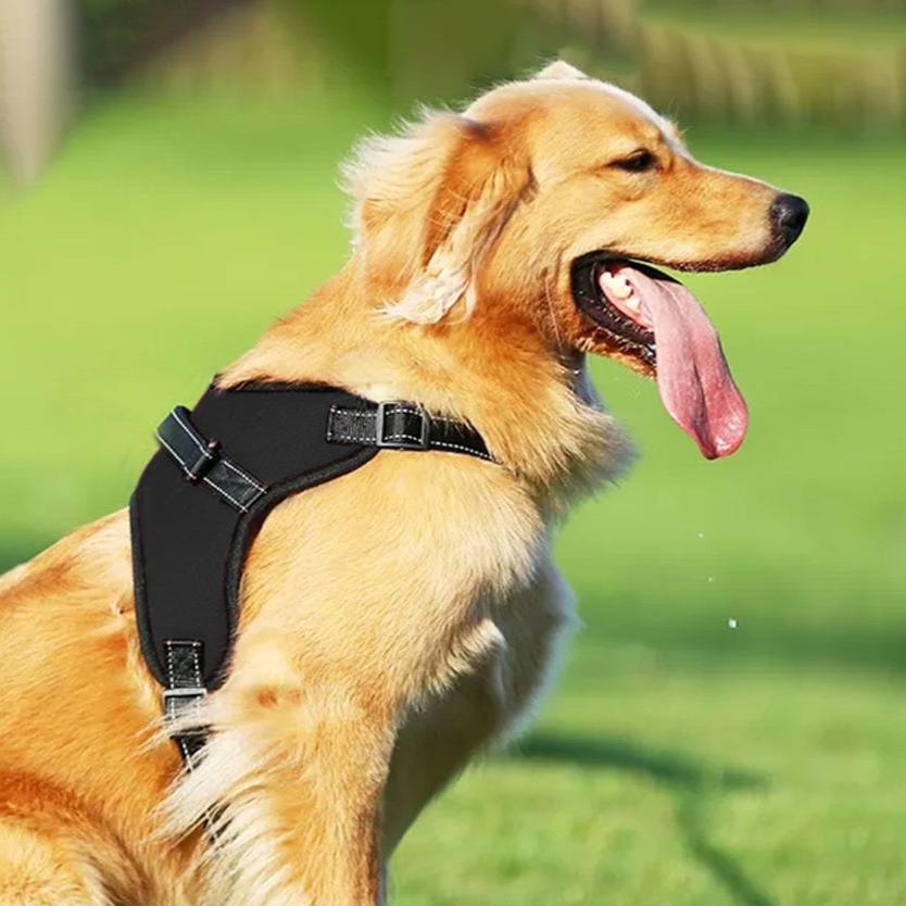 Reliable Dog Harness M Size (Black)